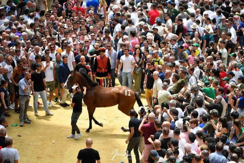 assegnazione-palio-luglio-2024-11