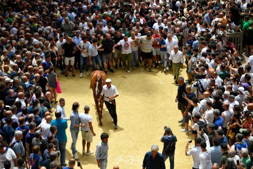 assegnazione-palio-luglio-2024-14