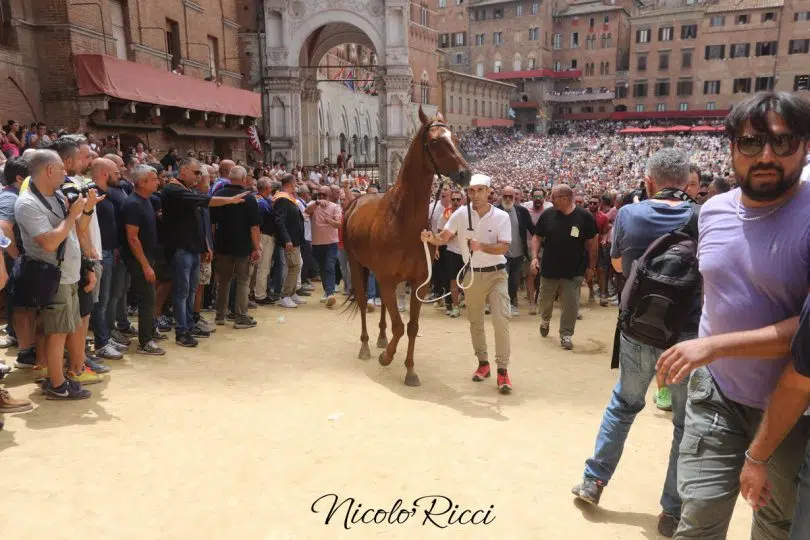 assegnazione-palio-luglio-2024-25