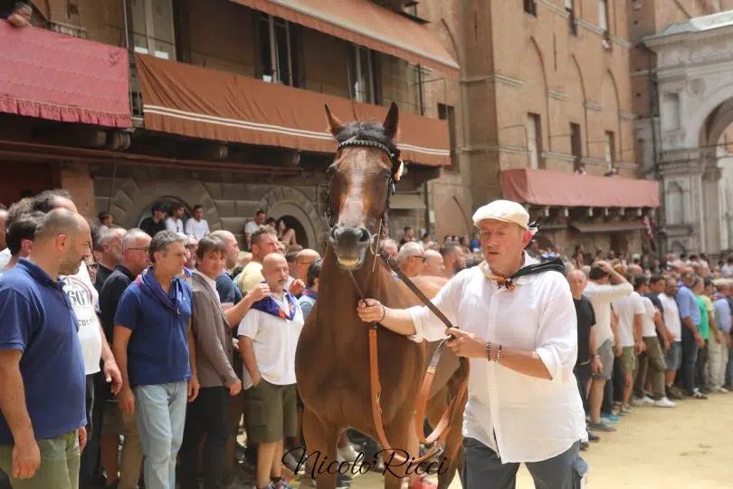 assegnazione-palio-luglio-2024-28