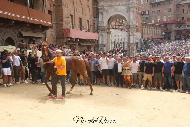 assegnazione-palio-luglio-2024-29