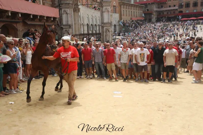 assegnazione-palio-luglio-2024-30