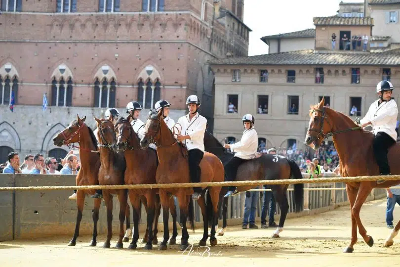 batterie-palio-luglio-2024-05