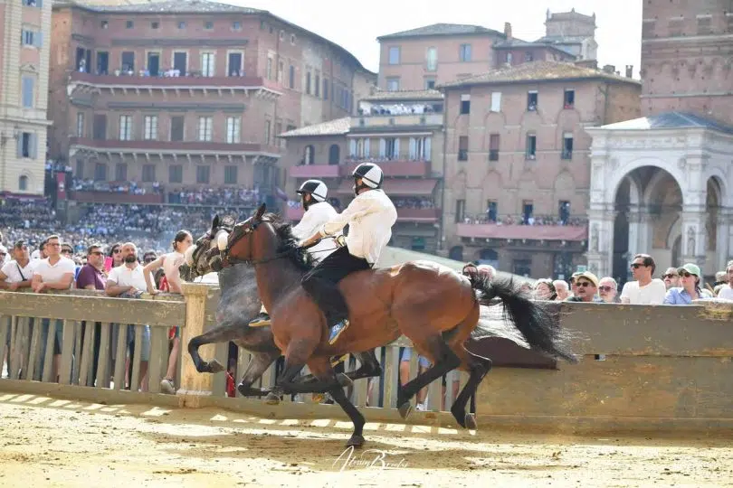 batterie-palio-luglio-2024-18