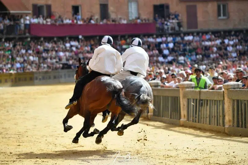 batterie-palio-luglio-2024-19