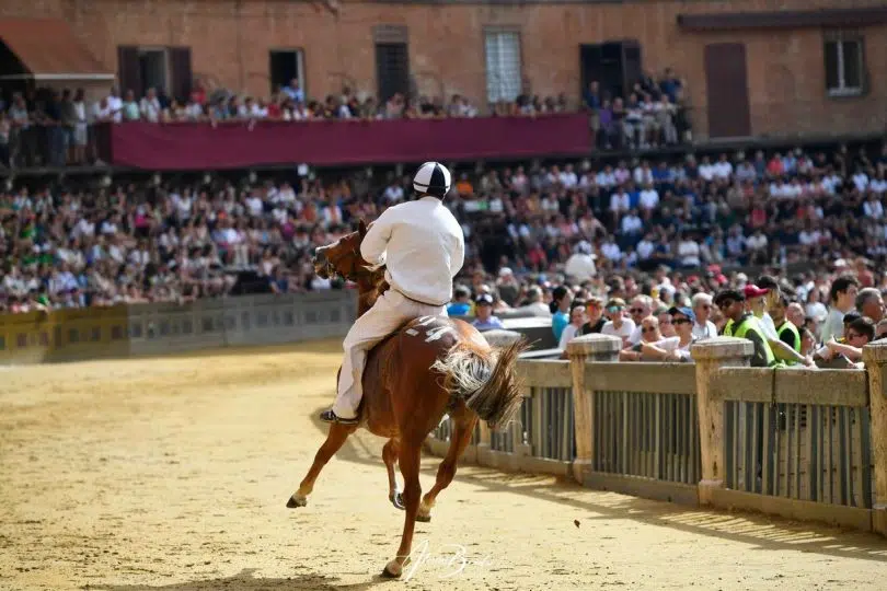 batterie-palio-luglio-2024-21