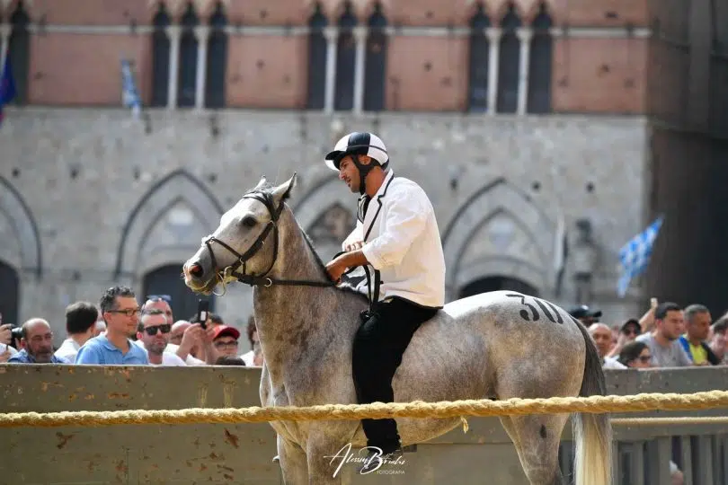batterie-palio-luglio-2024-23