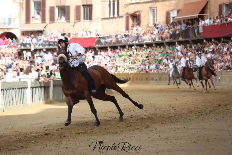 batterie-palio-luglio-2024-30