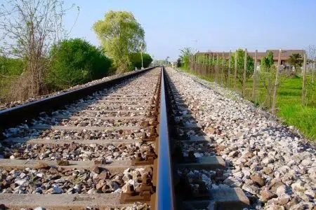 Alberi lungo la ferrovia, a Poggibonsi ordinanza per la messa in sicurezza