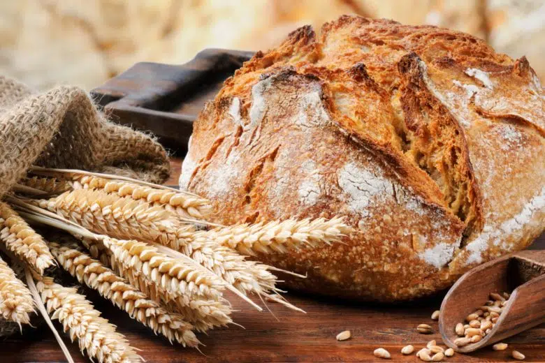 “Il grano dalla mietitura al pane, pasta e pizza”, degustazione a Siena Grano e pane