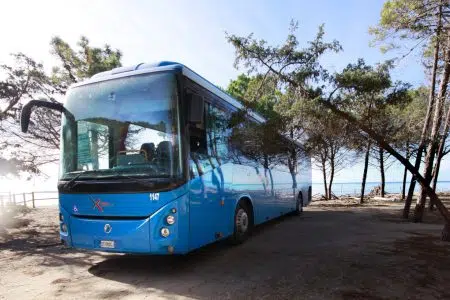 Dal 15 giugno partono i Mare Bus Tiemme da Siena, Colle e Poggibonsi Mare Bus Tiemme