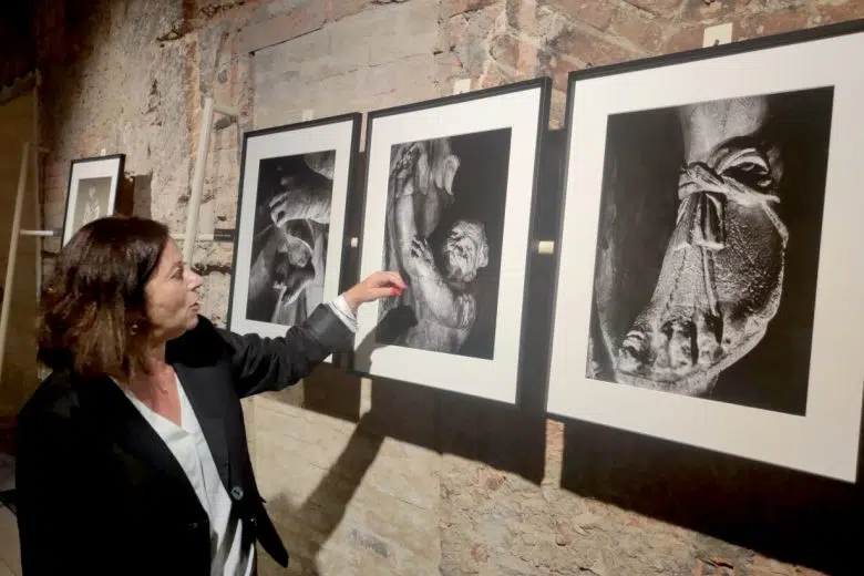 Mostra ‘Nino Migliori LUMEN Fonte Gaia’ a Siena