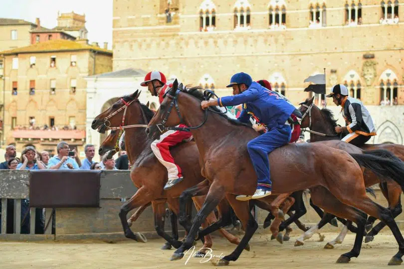 prima-prova-palio-luglio-2024-28