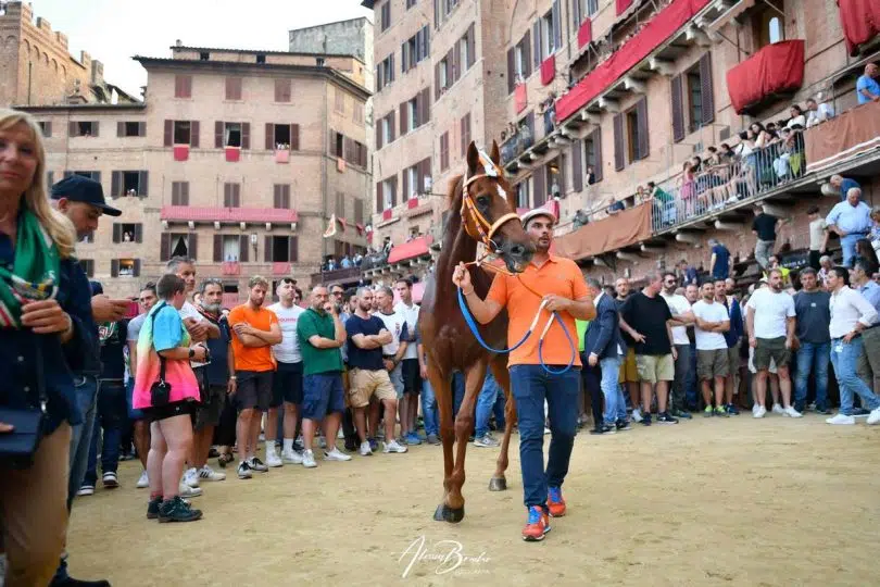 prima-prova-palio-luglio-2024-35