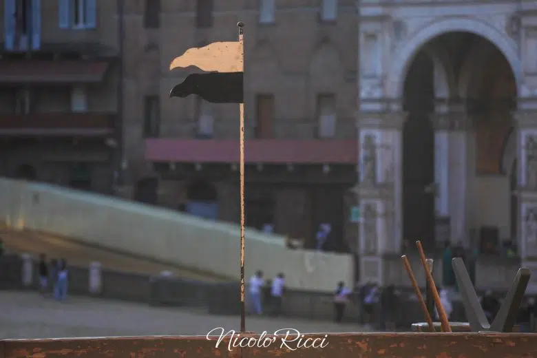 Palio di Siena del 2 luglio 2024: la seconda giornata delle prove regolamentate – FOTO Palio di Siena 2 luglio 2024, prove di notte, bandierino