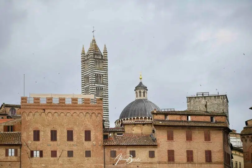 seconda-prova-palio-luglio-2024-01