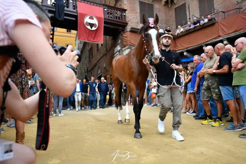 seconda-prova-palio-luglio-2024-04