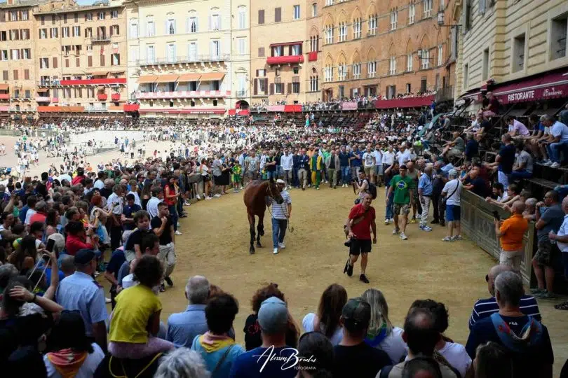 seconda-prova-palio-luglio-2024-20