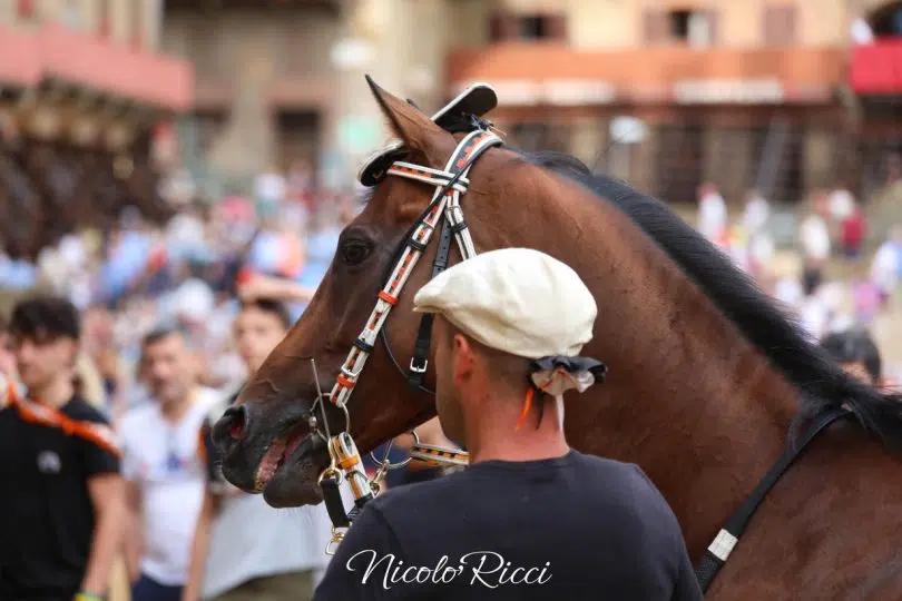 seconda-prova-palio-luglio-2024-21