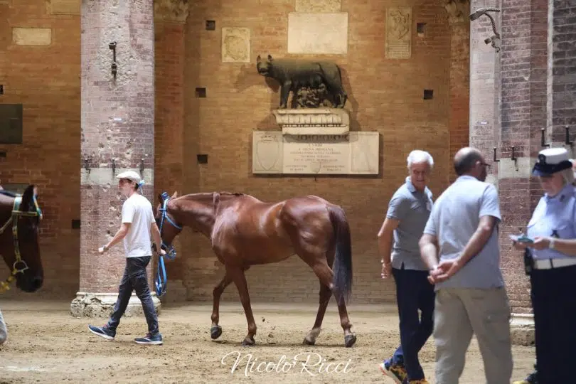 seconda-prova-palio-luglio-2024-22