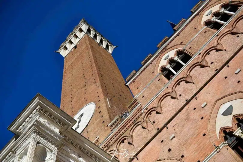 terza-prova-palio-luglio-2024-07