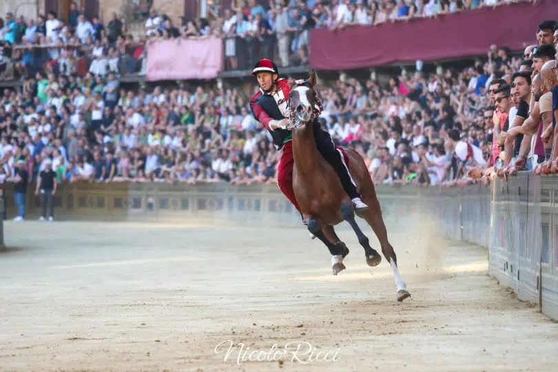 terza-prova-palio-luglio-2024-2-11