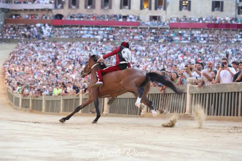 terza-prova-palio-luglio-2024-2-12