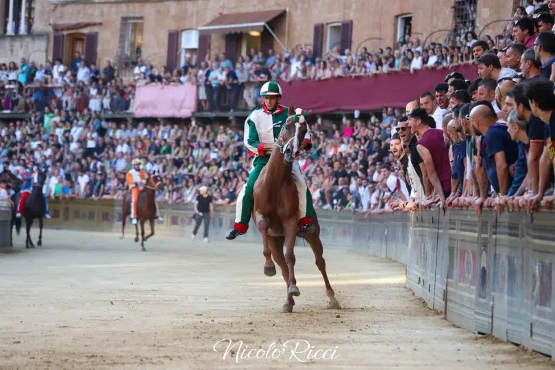 terza-prova-palio-luglio-2024-2-17