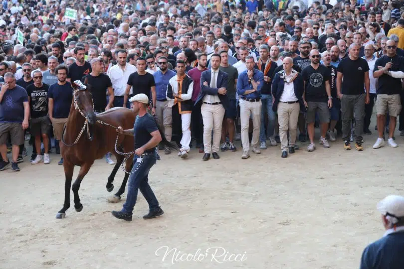 terza-prova-palio-luglio-2024-2-18