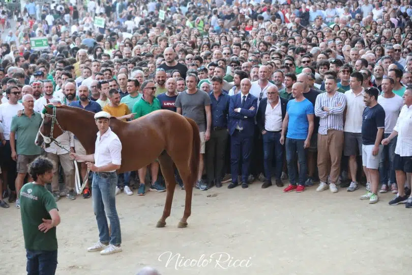 terza-prova-palio-luglio-2024-2-19
