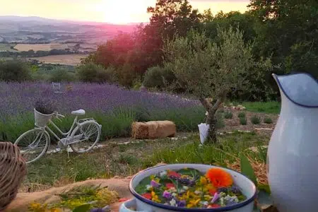 Trekking di San Giovanni per le passeggiate “A spasso per…” a Rapolano Trekking di San Giovanni a Rapolano Terme, raccolta erbe e paesaggio