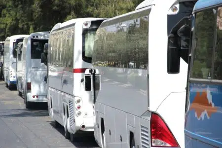 Bus turistici