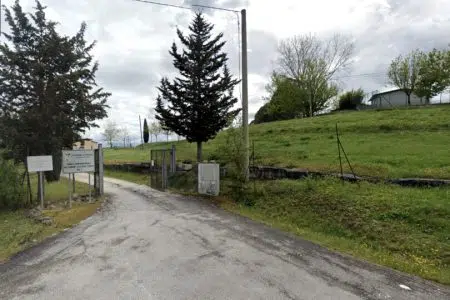 Cani vaganti e gatti incidentati a Siena, gestione al canile di Murlo Canile di Murlo