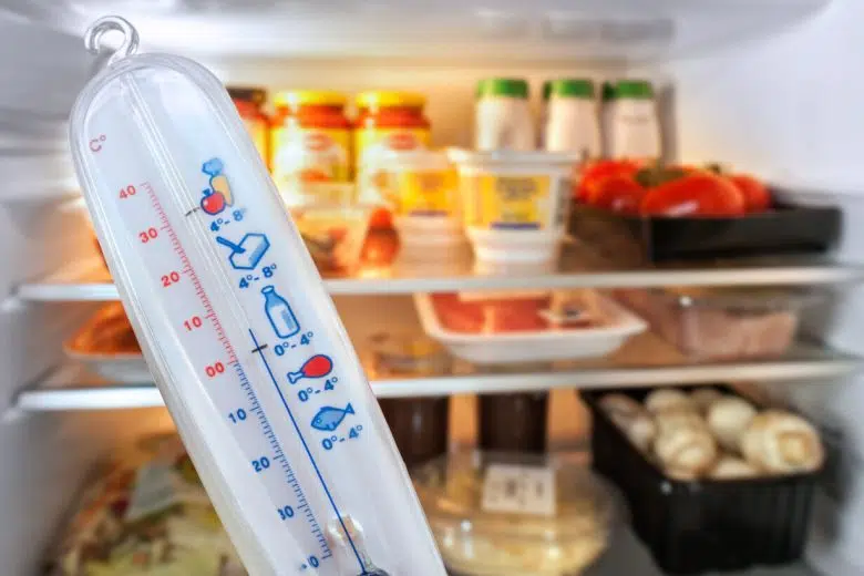 Come conservare correttamente gli alimenti in estate, i consigli dell’Asl Tse Conservazione alimenti in frigorifero