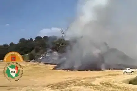 Incendi boschivi, un altro incendio scoppiato a Cetona Incendio a Cetona
