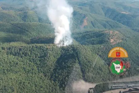 Incendio boschivo in località Nusenna a Gaiole in Chianti Incendio boschivo a Nusenna, Gaiole in Chianti