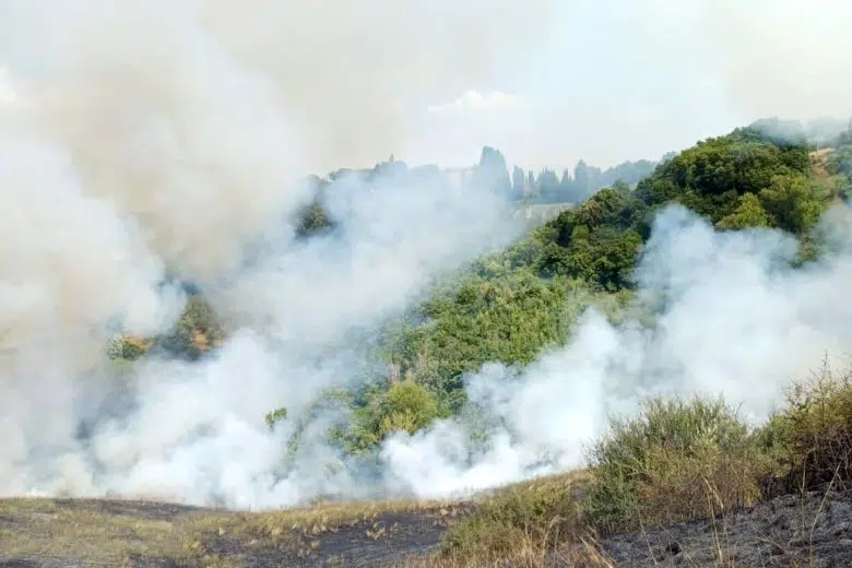 Incendio boschivo a Castelnuovo Berardenga Incendio a Torre a Castello nel comune di Castelnuovo Berardenga