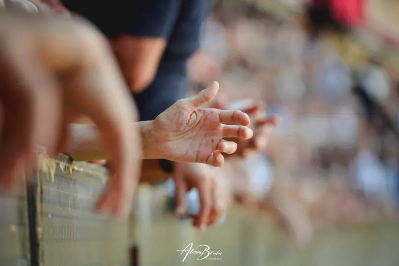 palio-4-luglio-2024-04