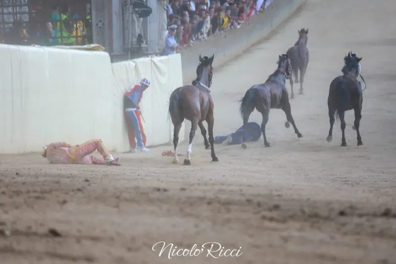 palio-4-luglio-2024-36