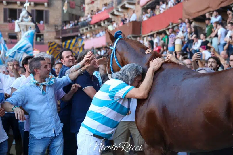 palio-4-luglio-2024-40