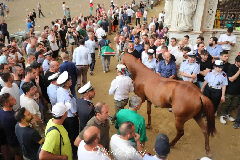 palio-luglio-2024-rinviato-45