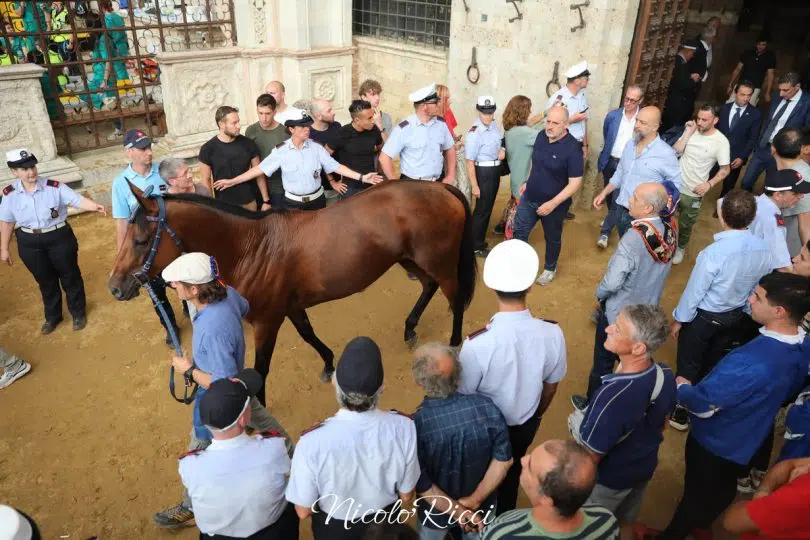 palio-luglio-2024-rinviato-47