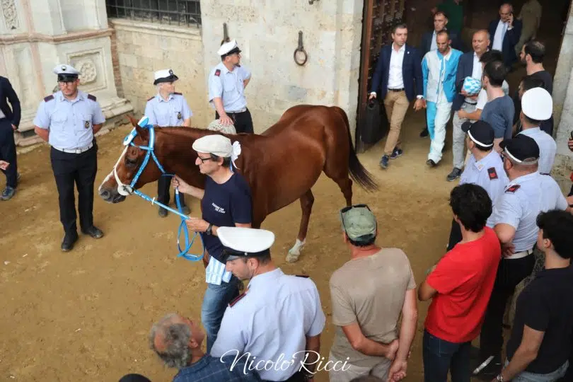 palio-luglio-2024-rinviato-49