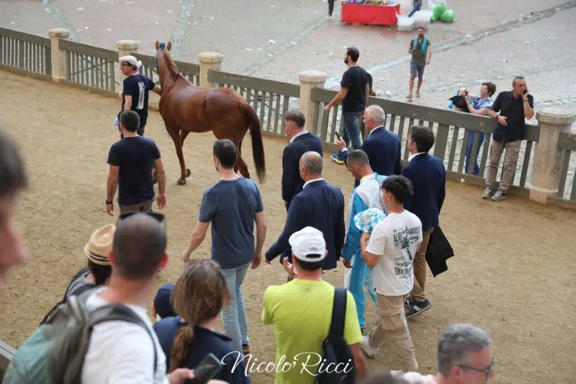 palio-luglio-2024-rinviato-50