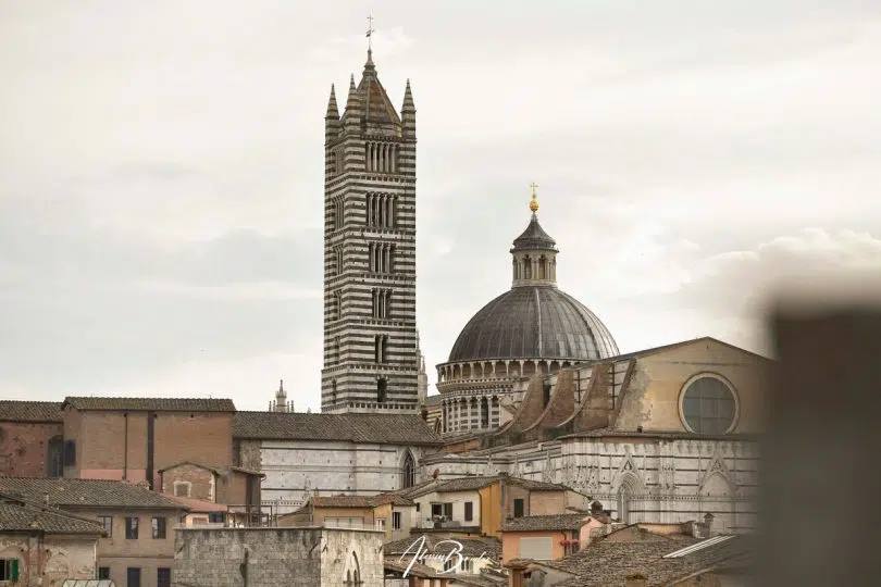 prova-generale-palio-luglio-2024-01