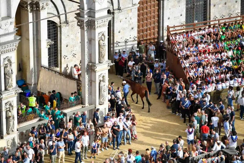 prova-generale-palio-luglio-2024-02