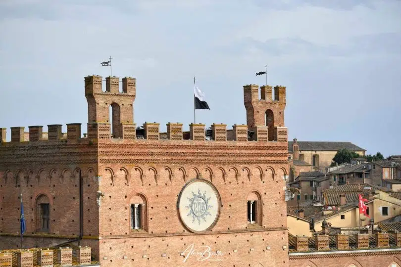 prova-generale-palio-luglio-2024-03