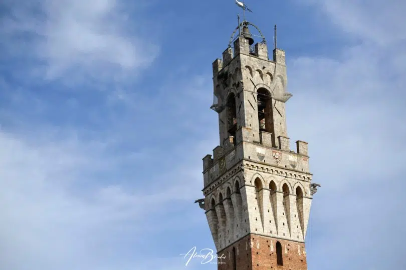 prova-generale-palio-luglio-2024-05