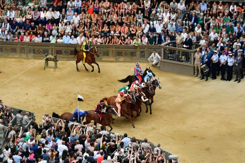 prova-generale-palio-luglio-2024-15