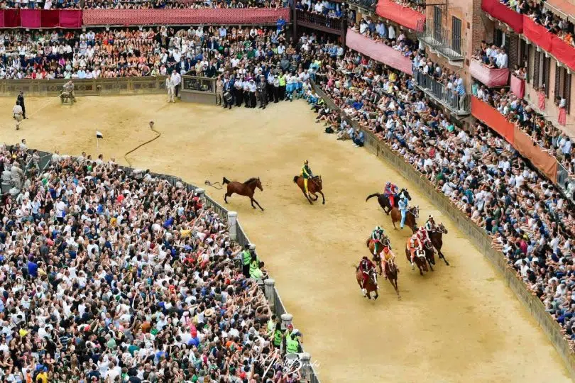 prova-generale-palio-luglio-2024-17